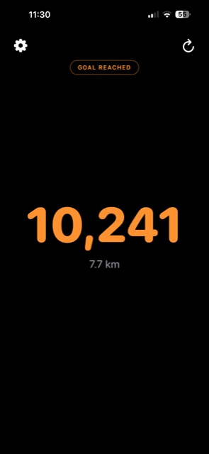 Stepwise turning orange with a Goal Reached badge at 10,241 steps