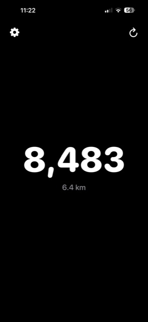 Stepwise showing 8,483 steps and 6.4 km today